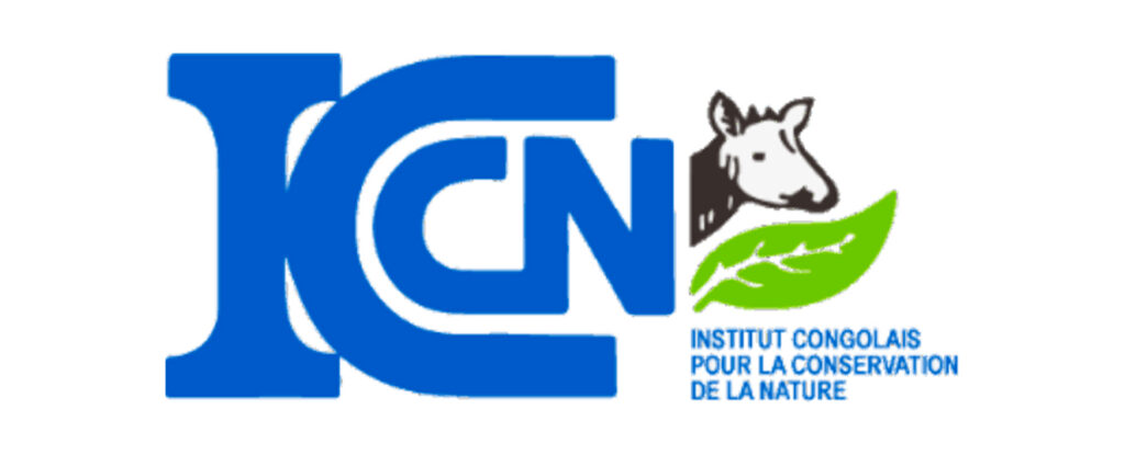 logo iccn